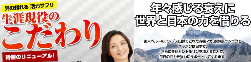 �j�̊��́A����̔����c���Ȃ��A�L�@�}�J�̊ܗL�ʋƊE�g�b�v�̃}�JDX���T�C�g